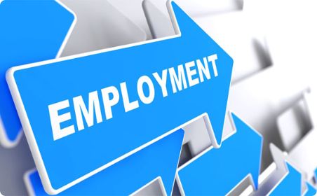 Employment intro img
